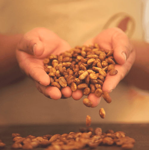 Honey Process